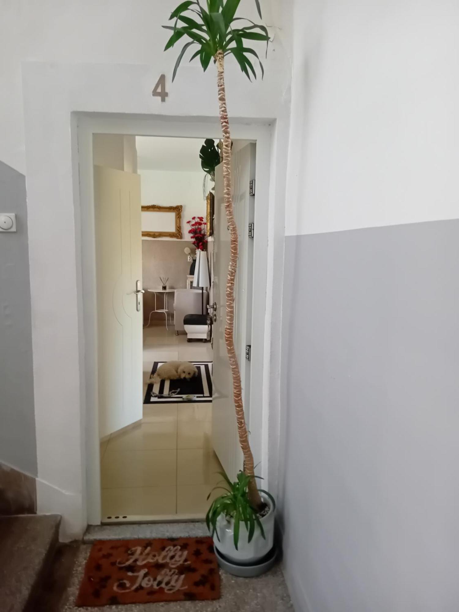באניה לוקה Apartment Top Centar מראה חיצוני תמונה
